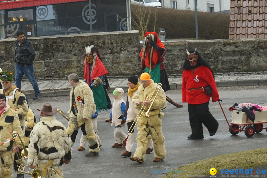 Fasnetsumzug - Fasching: Stockach am Bodensee, 28.02.2017