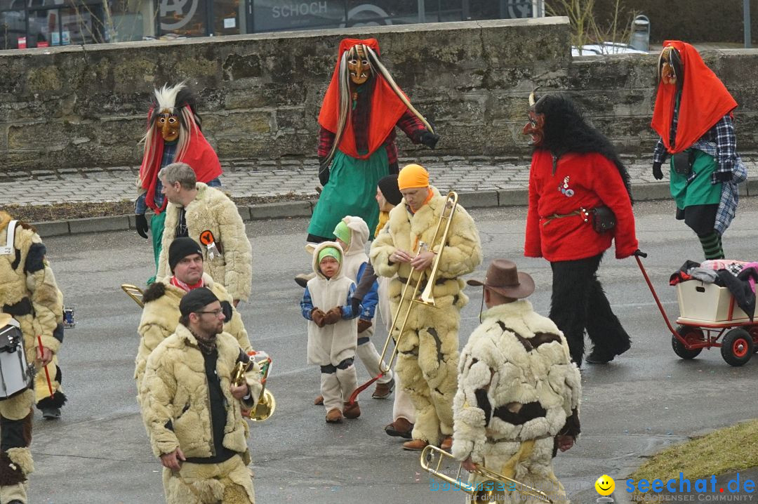 Fasnetsumzug - Fasching: Stockach am Bodensee, 28.02.2017