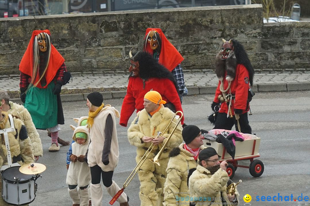 Fasnetsumzug - Fasching: Stockach am Bodensee, 28.02.2017