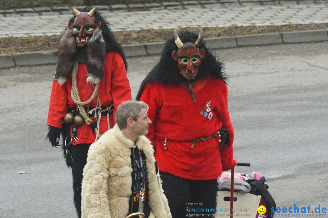 Fasnetsumzug - Fasching: Stockach am Bodensee, 28.02.2017