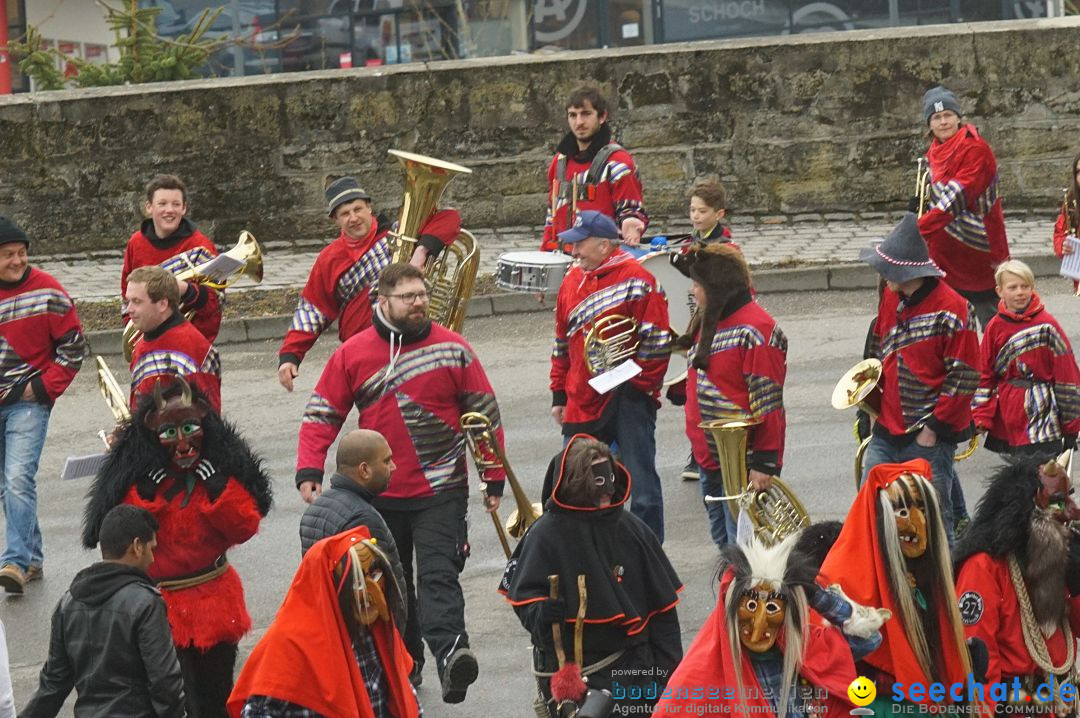 Fasnetsumzug - Fasching: Stockach am Bodensee, 28.02.2017