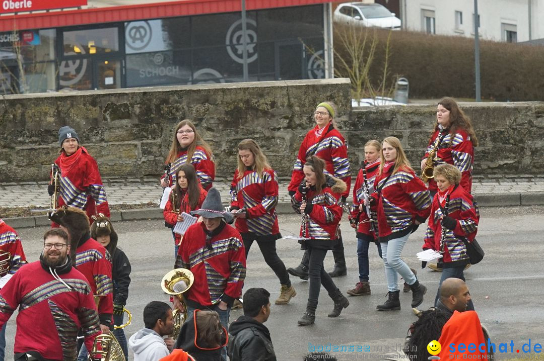 Fasnetsumzug - Fasching: Stockach am Bodensee, 28.02.2017