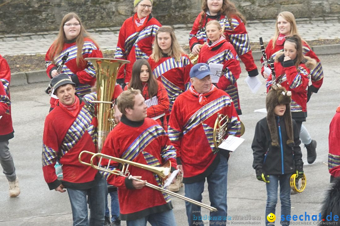 Fasnetsumzug - Fasching: Stockach am Bodensee, 28.02.2017