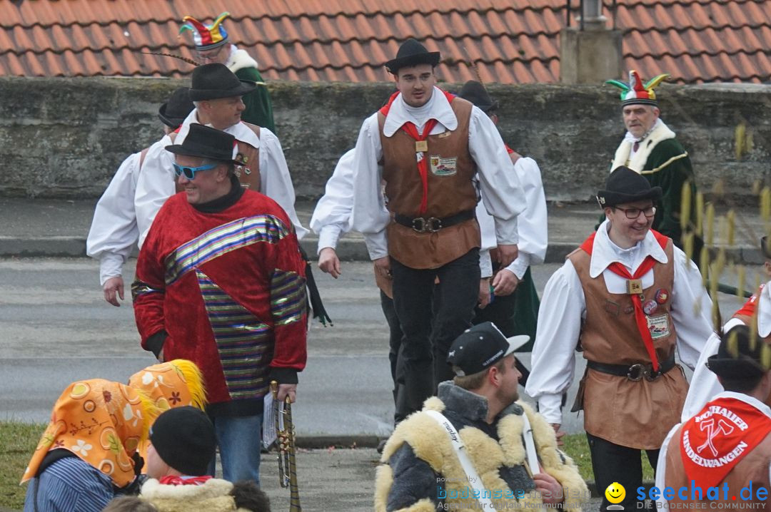 Fasnetsumzug - Fasching: Stockach am Bodensee, 28.02.2017