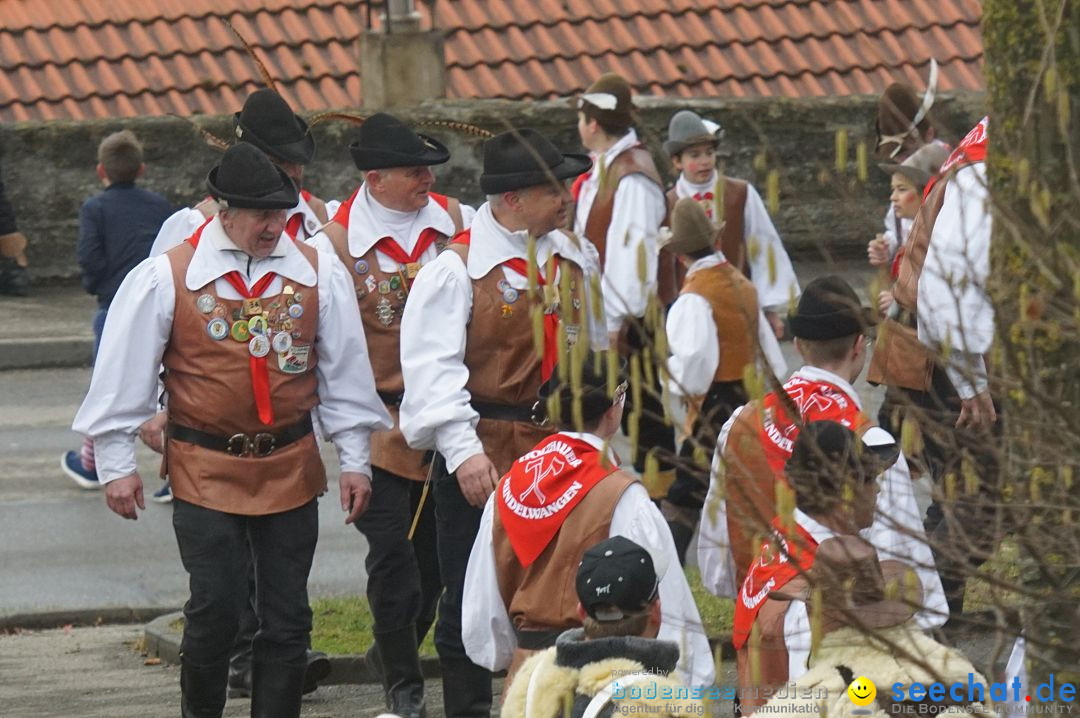 Fasnetsumzug - Fasching: Stockach am Bodensee, 28.02.2017