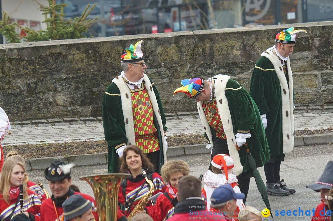 Fasnetsumzug - Fasching: Stockach am Bodensee, 28.02.2017