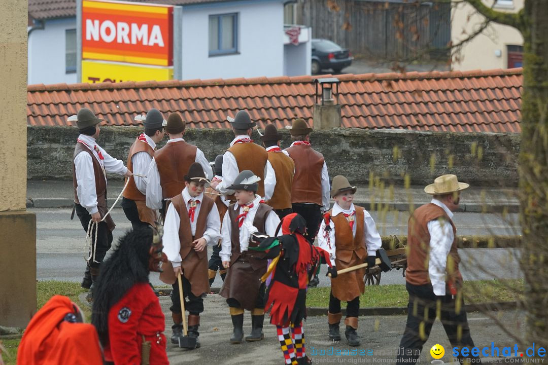 Fasnetsumzug - Fasching: Stockach am Bodensee, 28.02.2017