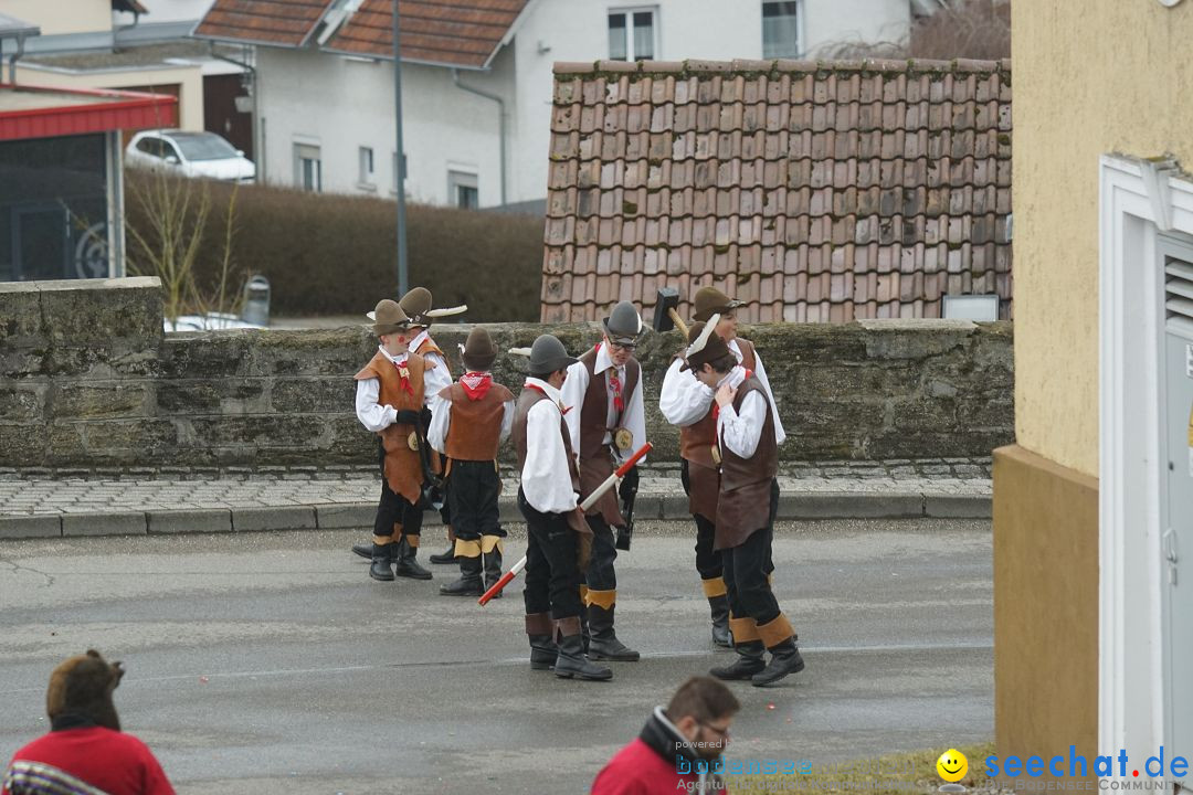 Fasnetsumzug - Fasching: Stockach am Bodensee, 28.02.2017