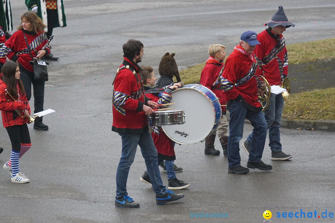 Fasnetsumzug - Fasching: Stockach am Bodensee, 28.02.2017