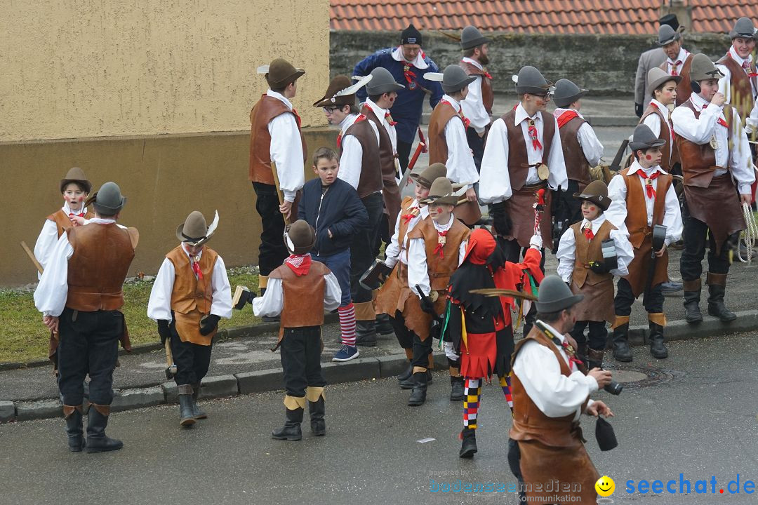 Fasnetsumzug - Fasching: Stockach am Bodensee, 28.02.2017