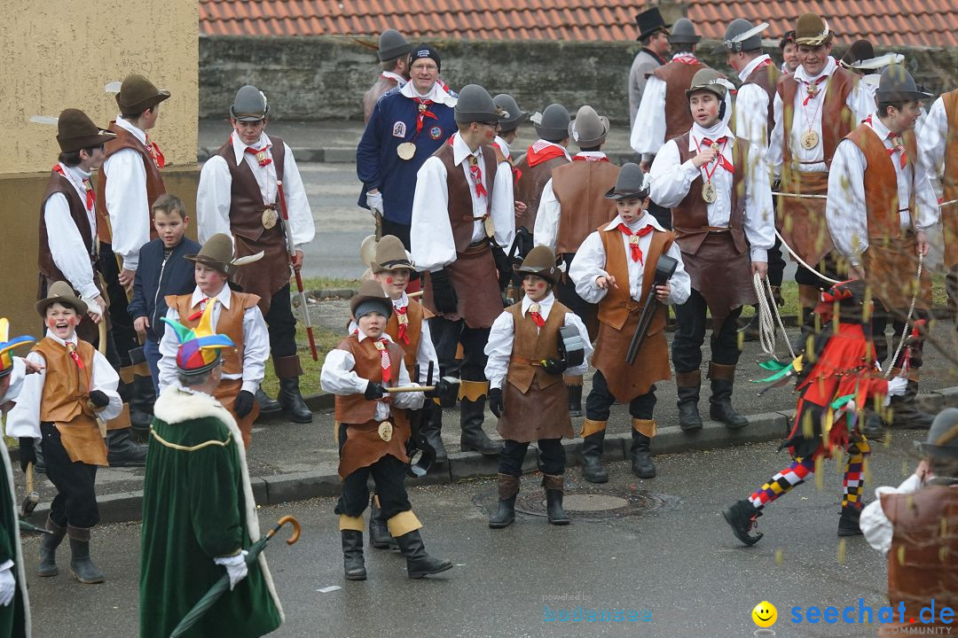 Fasnetsumzug - Fasching: Stockach am Bodensee, 28.02.2017