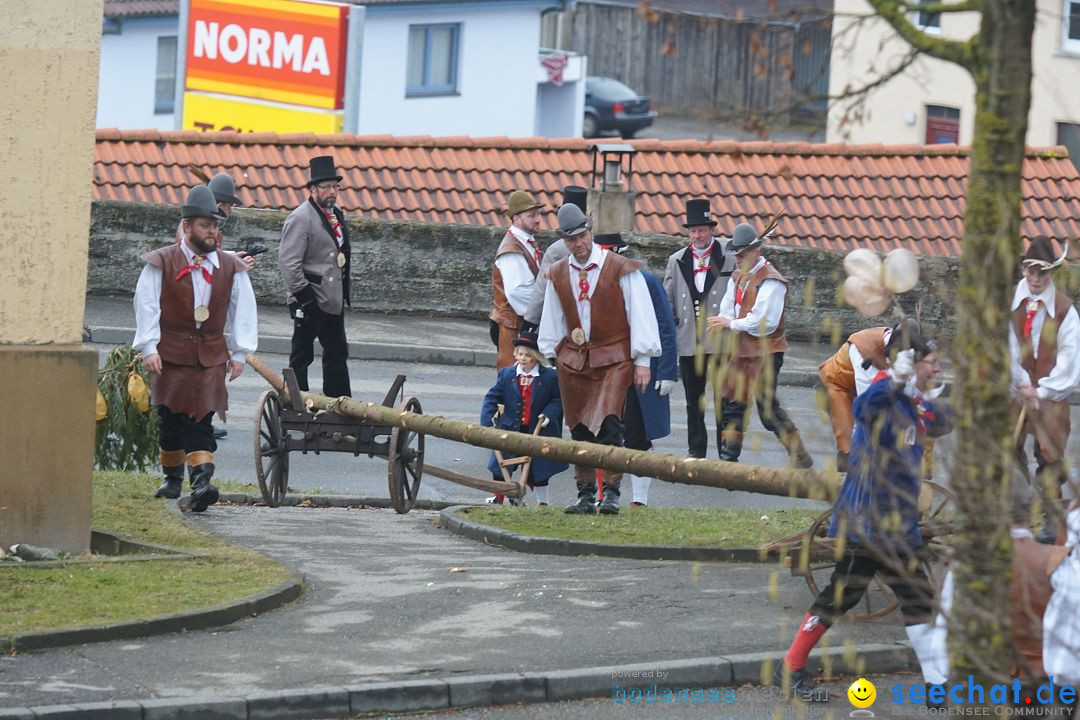 Fasnetsumzug - Fasching: Stockach am Bodensee, 28.02.2017