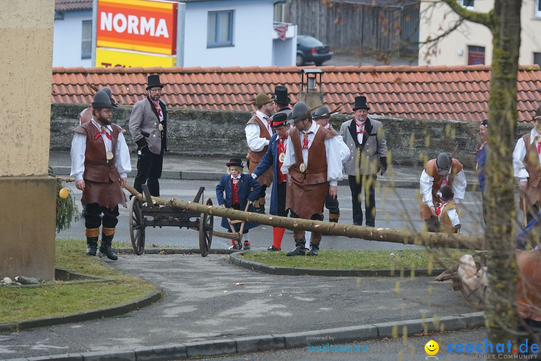 Fasnetsumzug - Fasching: Stockach am Bodensee, 28.02.2017