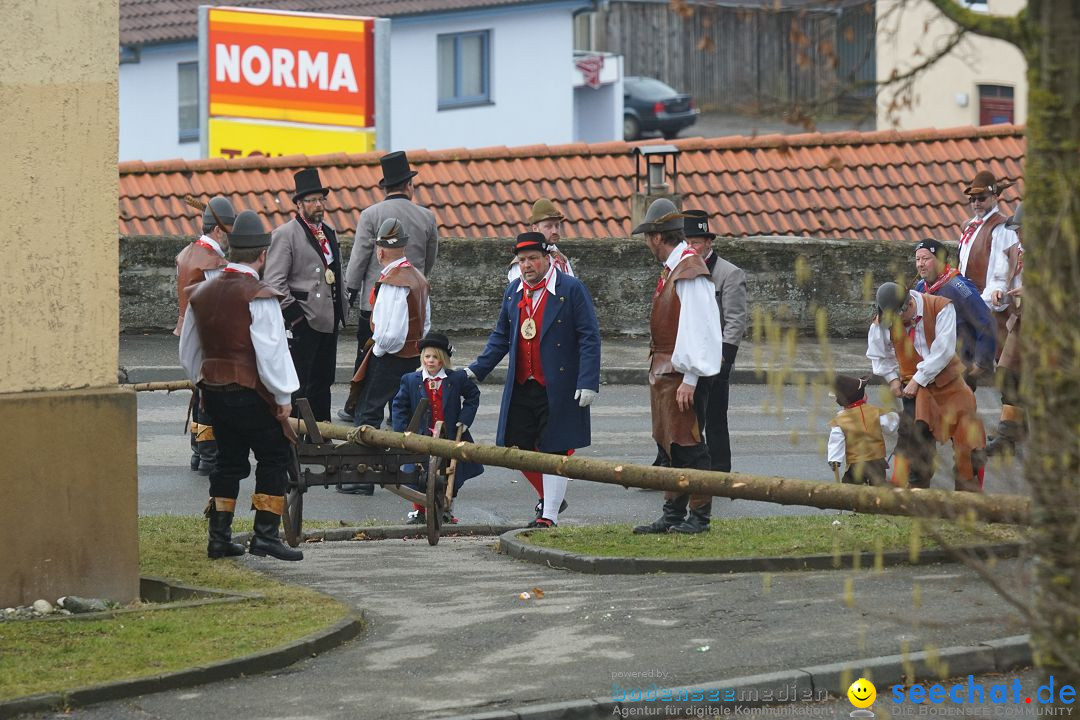 Fasnetsumzug - Fasching: Stockach am Bodensee, 28.02.2017