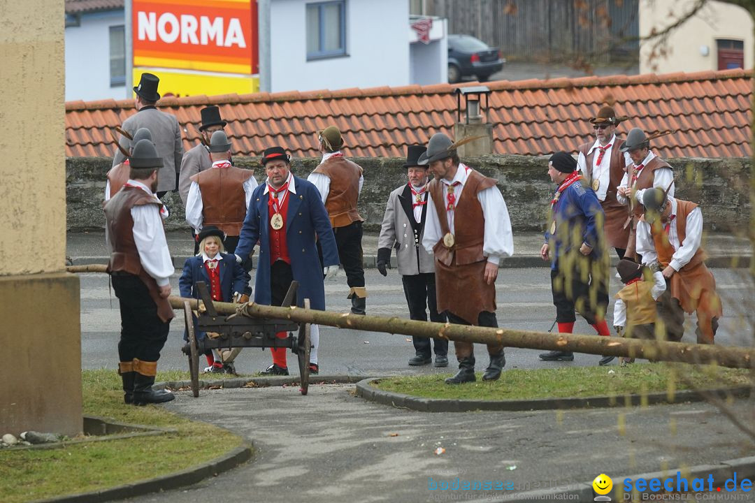 Fasnetsumzug - Fasching: Stockach am Bodensee, 28.02.2017