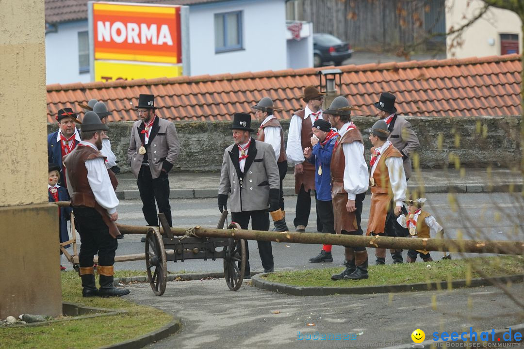 Fasnetsumzug - Fasching: Stockach am Bodensee, 28.02.2017