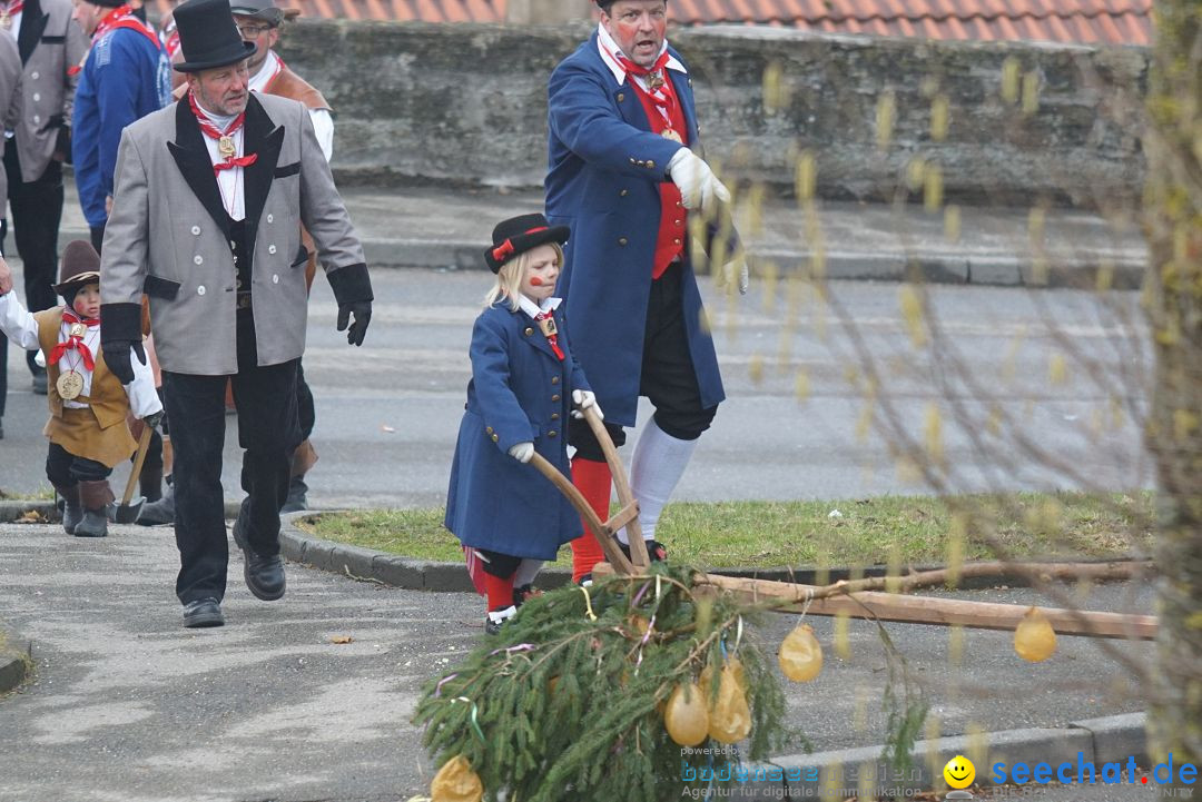 Fasnetsumzug - Fasching: Stockach am Bodensee, 28.02.2017