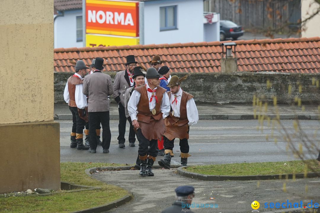 Fasnetsumzug - Fasching: Stockach am Bodensee, 28.02.2017