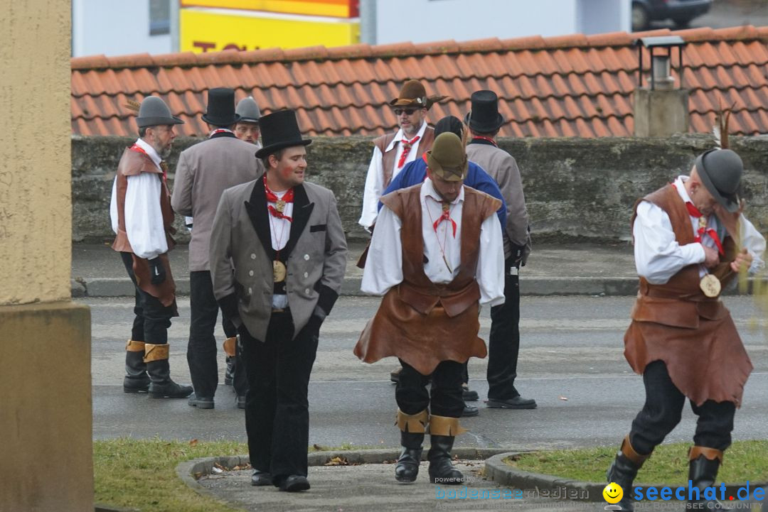 Fasnetsumzug - Fasching: Stockach am Bodensee, 28.02.2017