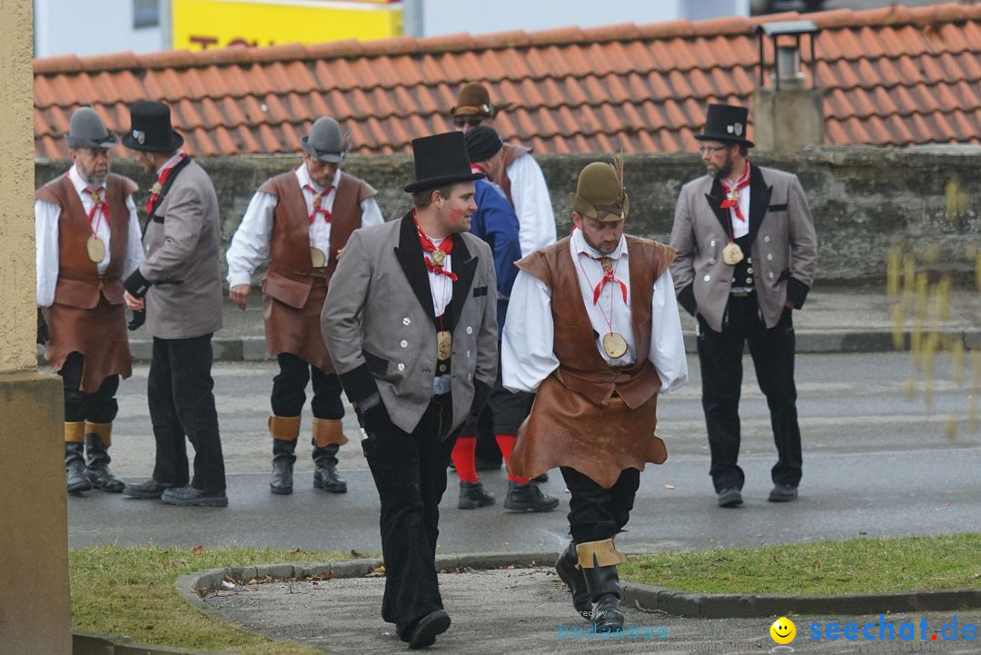 Fasnetsumzug - Fasching: Stockach am Bodensee, 28.02.2017