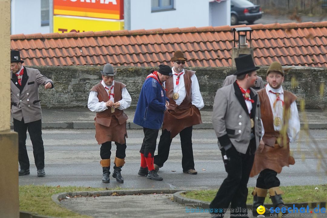 Fasnetsumzug - Fasching: Stockach am Bodensee, 28.02.2017