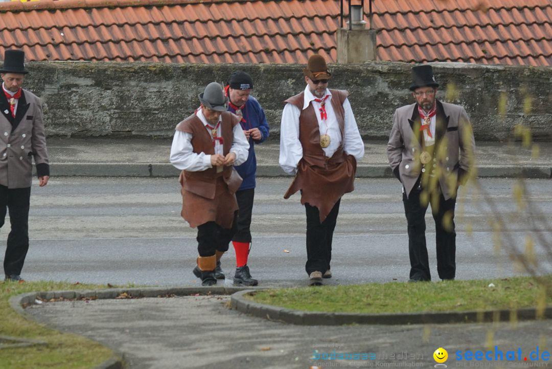 Fasnetsumzug - Fasching: Stockach am Bodensee, 28.02.2017