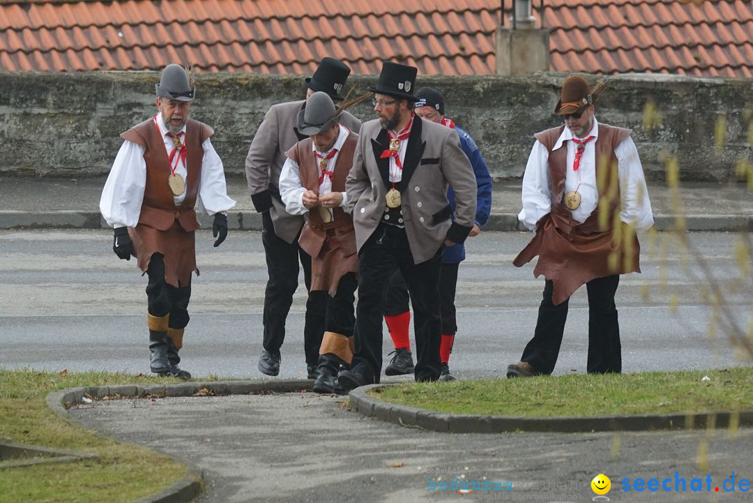 Fasnetsumzug - Fasching: Stockach am Bodensee, 28.02.2017