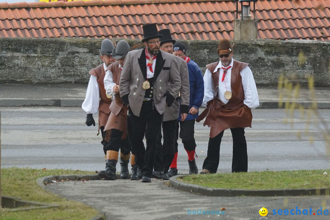 Fasnetsumzug - Fasching: Stockach am Bodensee, 28.02.2017