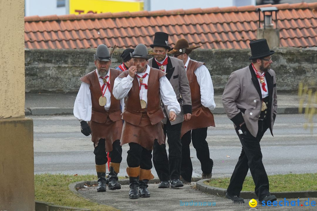 Fasnetsumzug - Fasching: Stockach am Bodensee, 28.02.2017