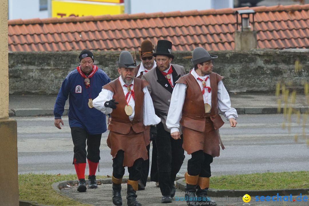 Fasnetsumzug - Fasching: Stockach am Bodensee, 28.02.2017