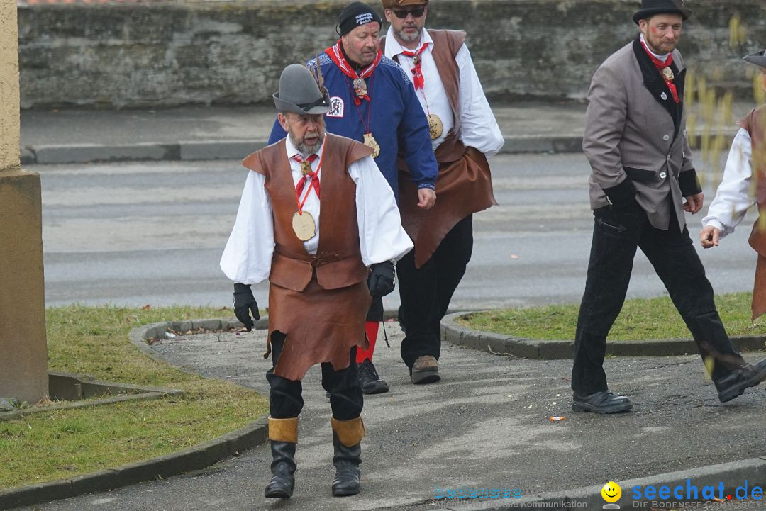 Fasnetsumzug - Fasching: Stockach am Bodensee, 28.02.2017