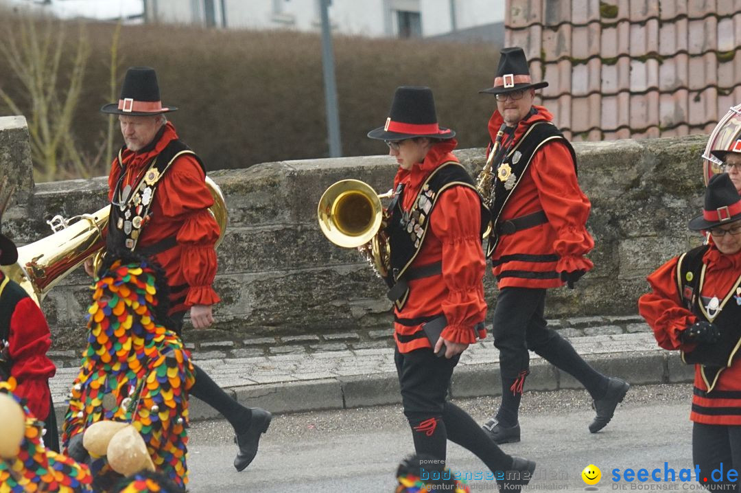 Fasnetsumzug - Fasching: Stockach am Bodensee, 28.02.2017