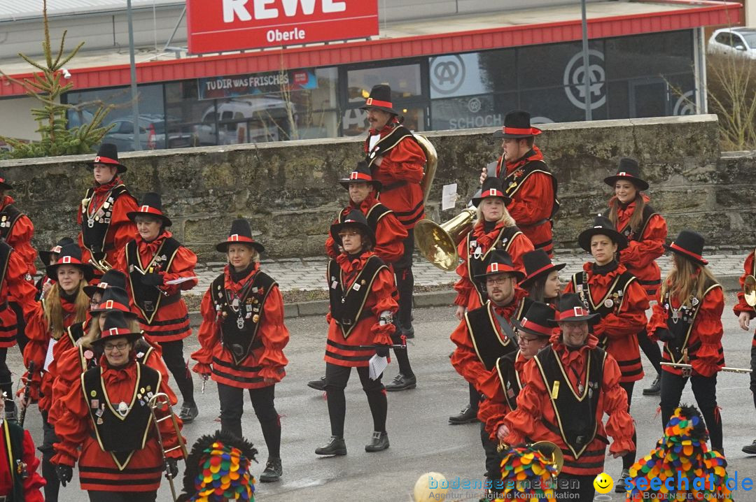 Fasnetsumzug - Fasching: Stockach am Bodensee, 28.02.2017