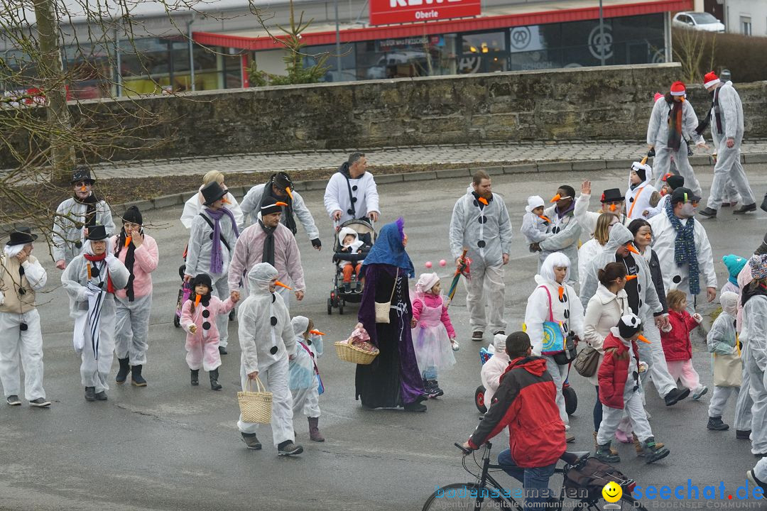 Fasnetsumzug - Fasching: Stockach am Bodensee, 28.02.2017