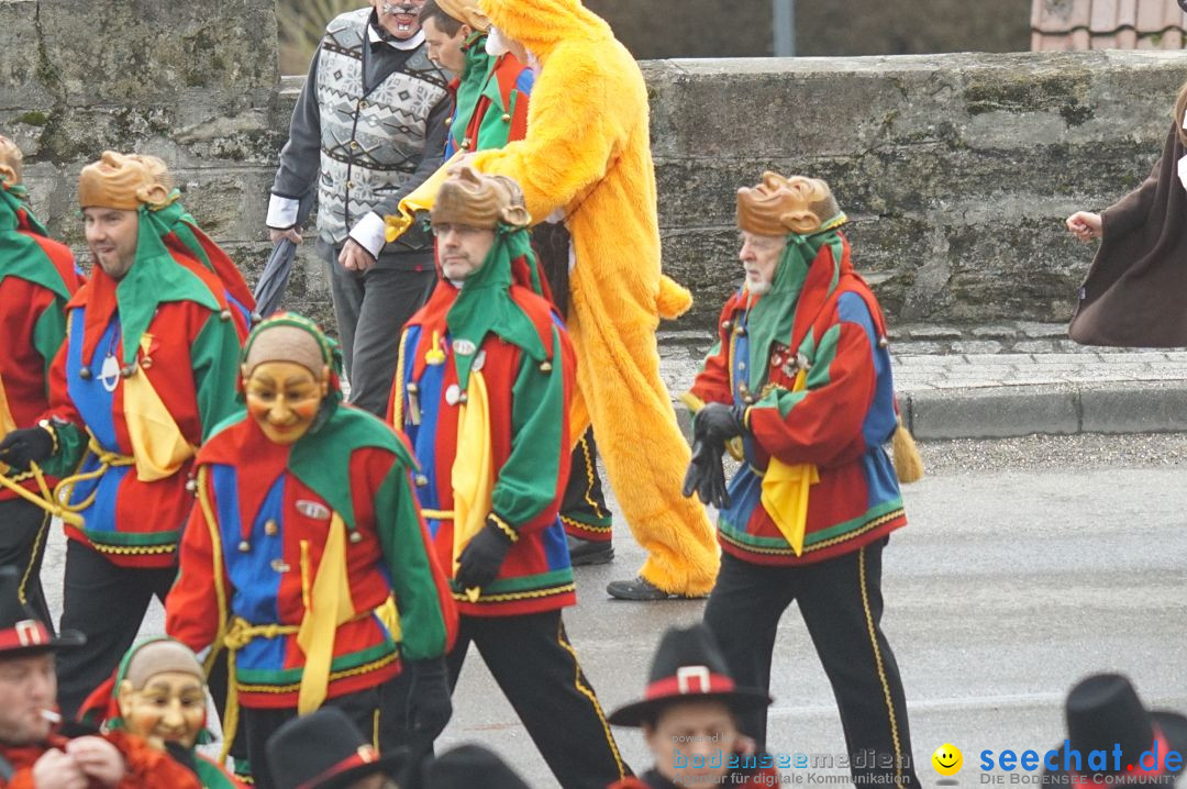 Fasnetsumzug - Fasching: Stockach am Bodensee, 28.02.2017