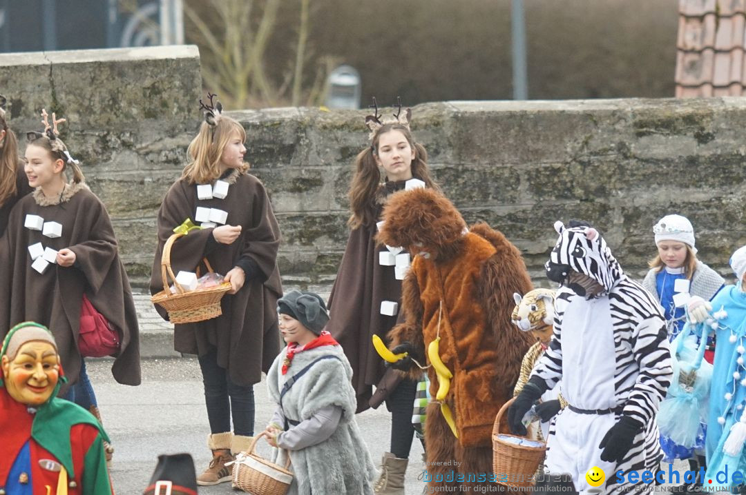 Fasnetsumzug - Fasching: Stockach am Bodensee, 28.02.2017