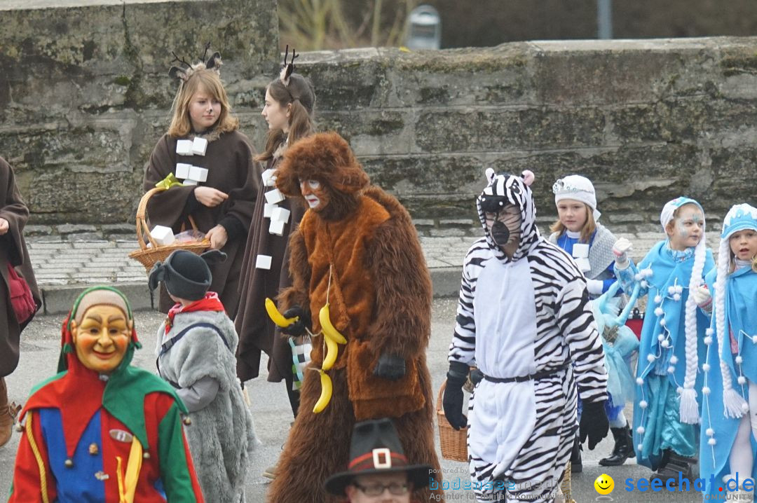 Fasnetsumzug - Fasching: Stockach am Bodensee, 28.02.2017