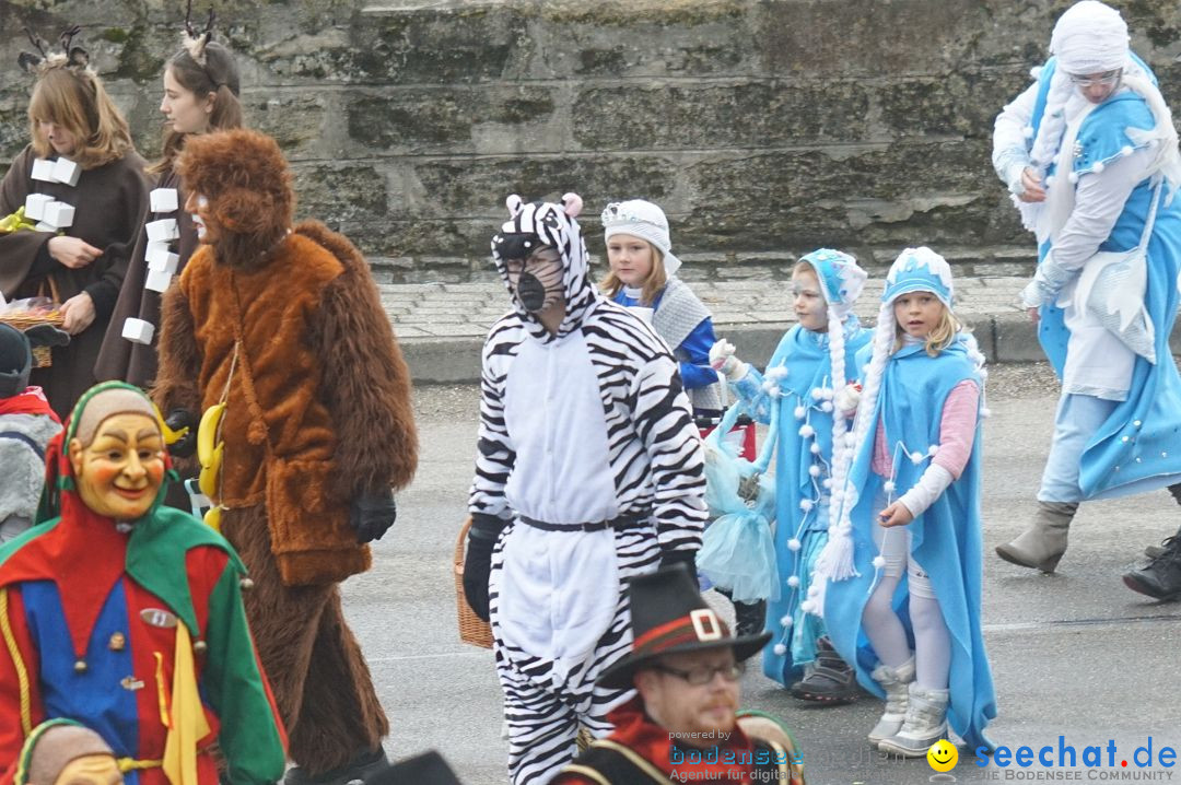 Fasnetsumzug - Fasching: Stockach am Bodensee, 28.02.2017