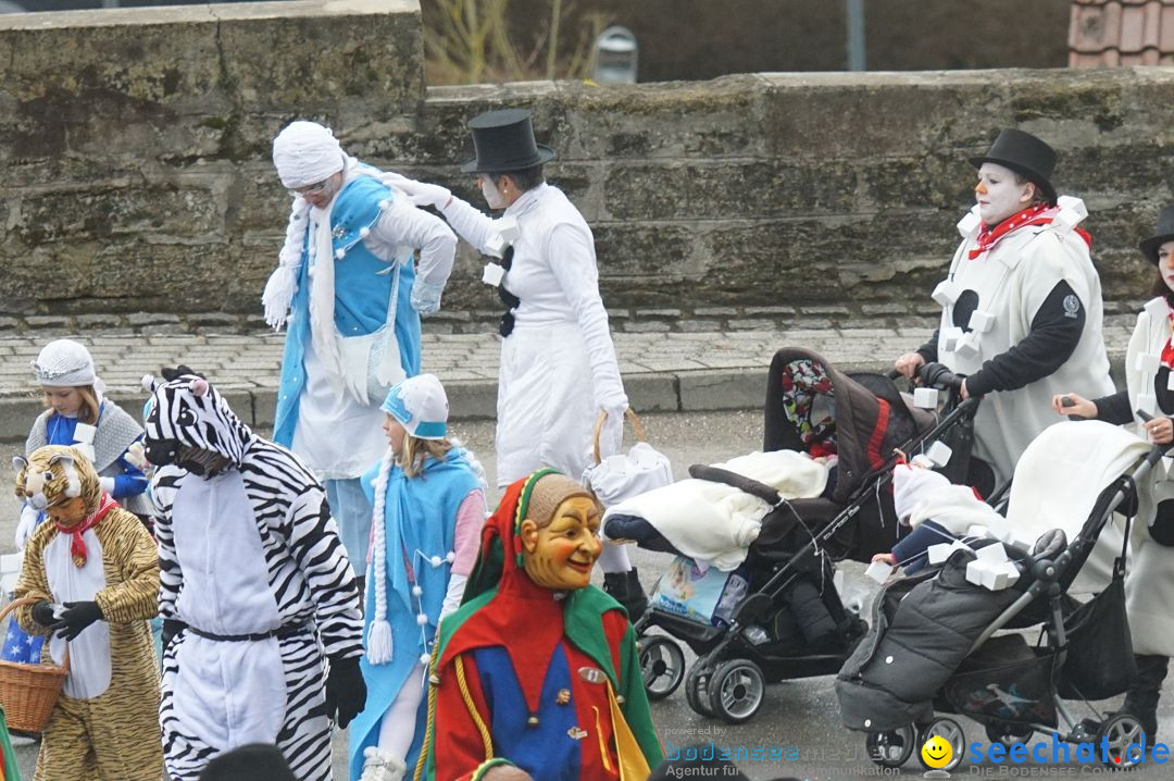 Fasnetsumzug - Fasching: Stockach am Bodensee, 28.02.2017