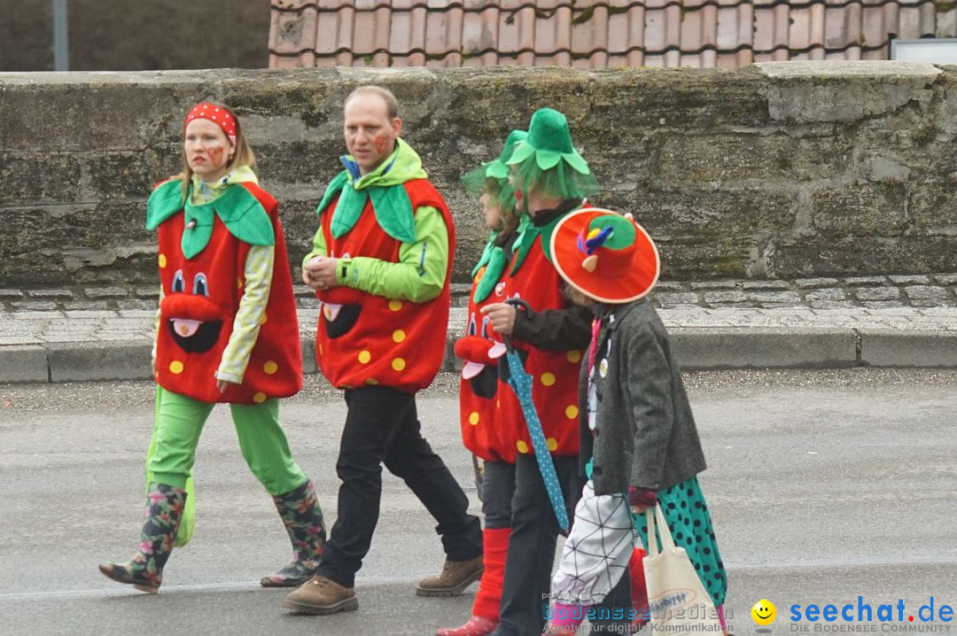 Fasnetsumzug - Fasching: Stockach am Bodensee, 28.02.2017