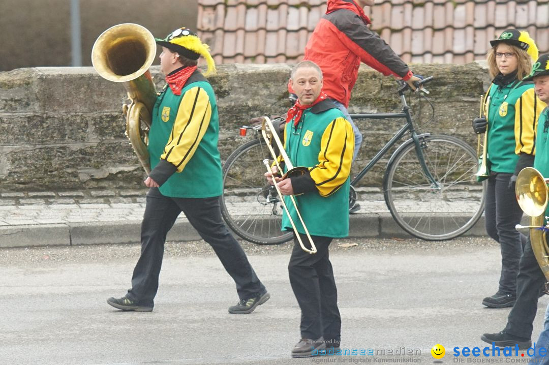 Fasnetsumzug - Fasching: Stockach am Bodensee, 28.02.2017