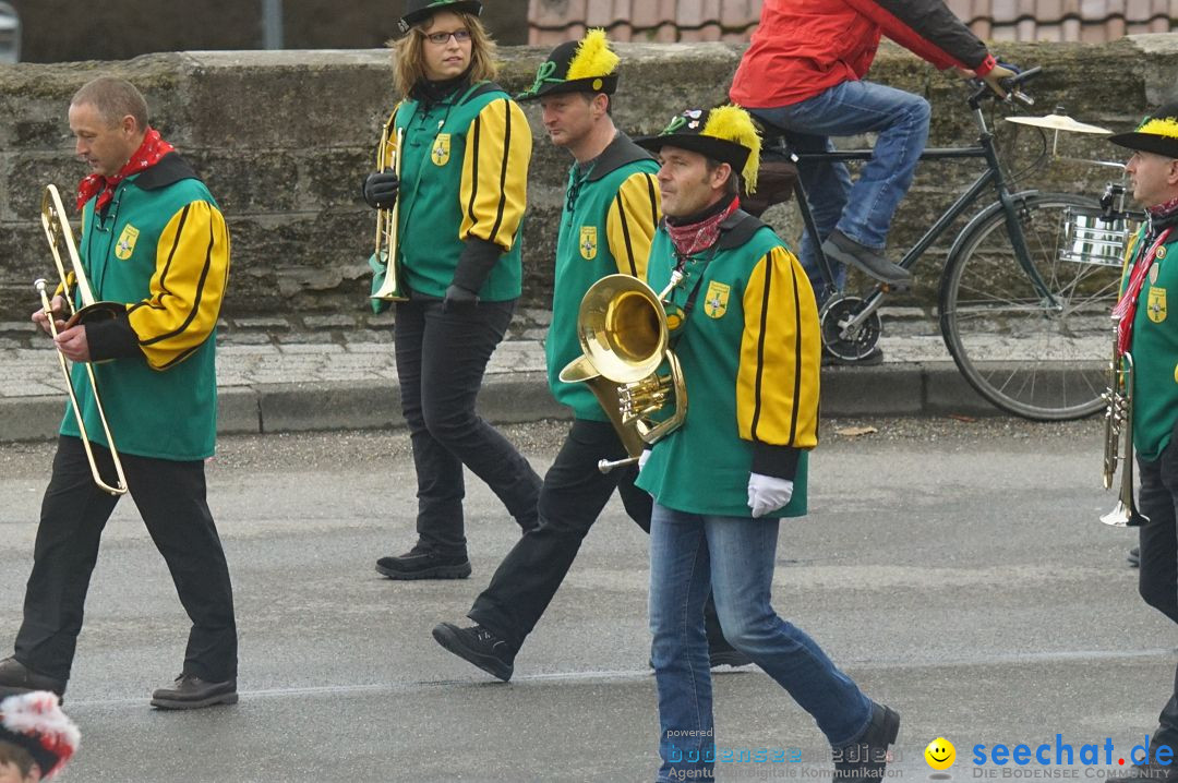 Fasnetsumzug - Fasching: Stockach am Bodensee, 28.02.2017