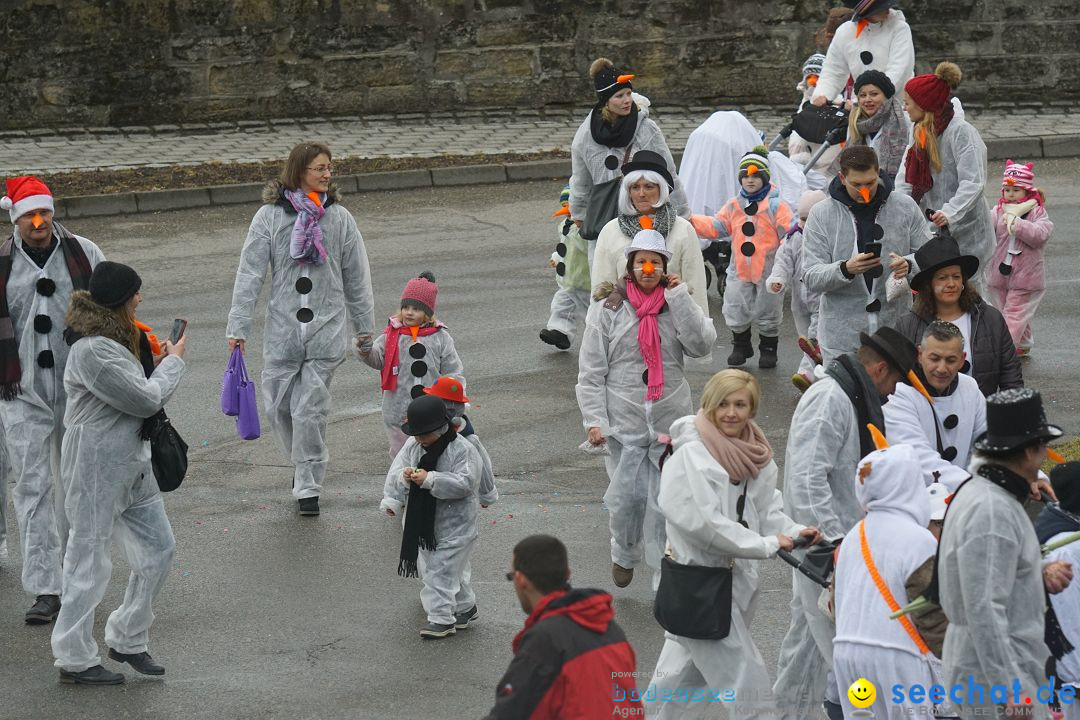 Fasnetsumzug - Fasching: Stockach am Bodensee, 28.02.2017