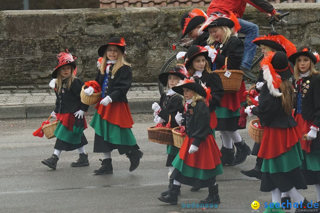 Fasnetsumzug - Fasching: Stockach am Bodensee, 28.02.2017