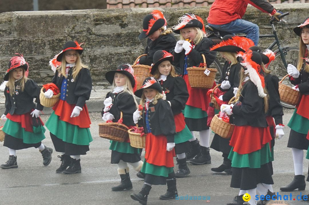 Fasnetsumzug - Fasching: Stockach am Bodensee, 28.02.2017