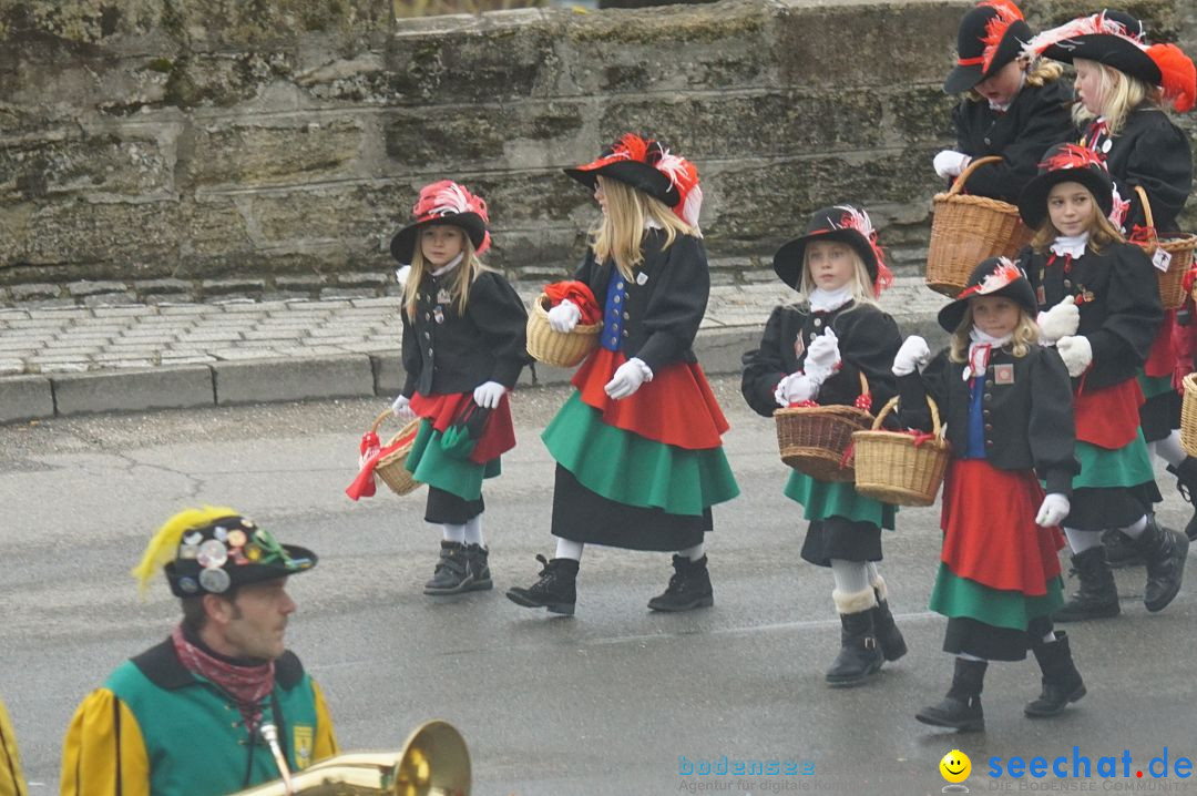 Fasnetsumzug - Fasching: Stockach am Bodensee, 28.02.2017