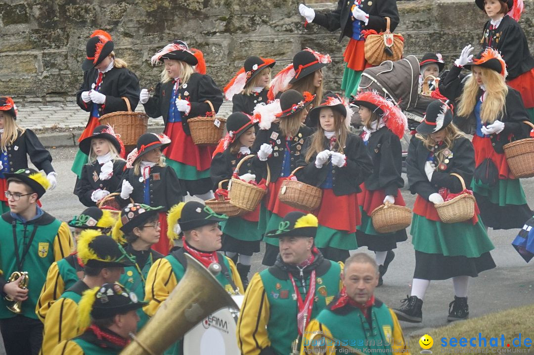 Fasnetsumzug - Fasching: Stockach am Bodensee, 28.02.2017