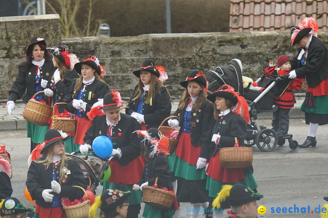 Fasnetsumzug - Fasching: Stockach am Bodensee, 28.02.2017