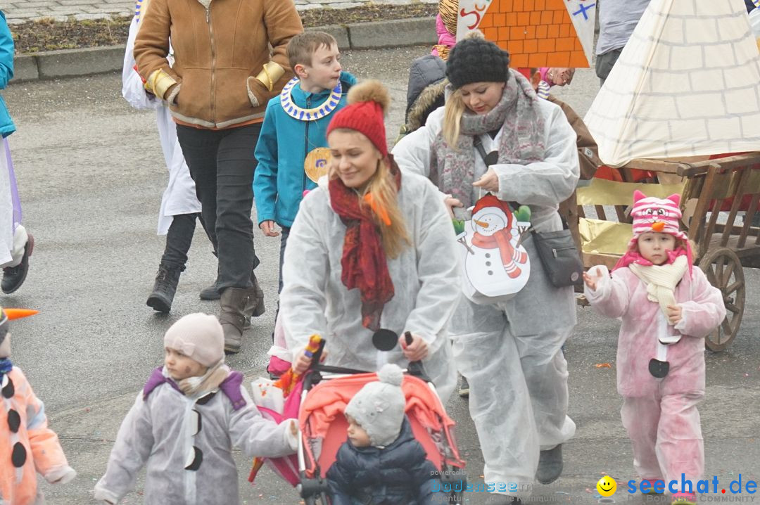 Fasnetsumzug - Fasching: Stockach am Bodensee, 28.02.2017