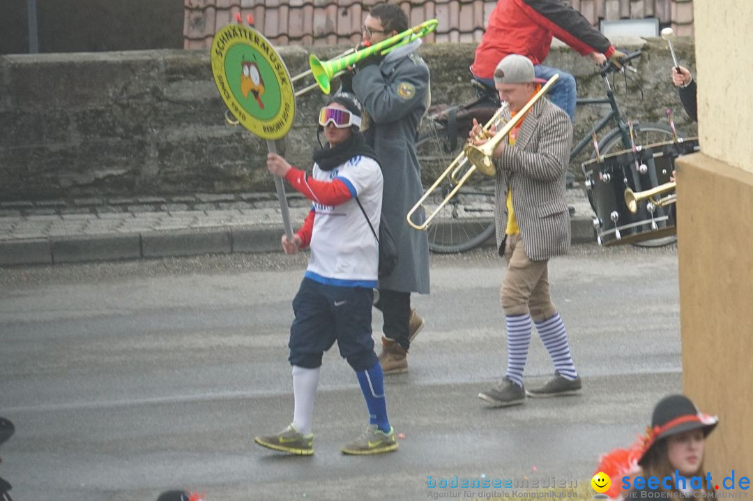 Fasnetsumzug - Fasching: Stockach am Bodensee, 28.02.2017